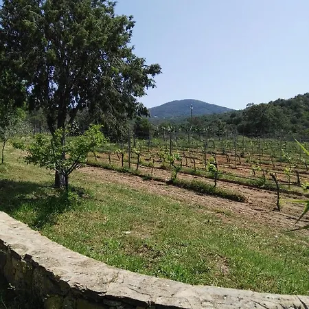 Hotel La Campagna Olbia
