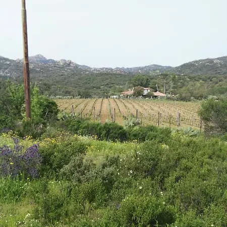 La Campagna Olbia
